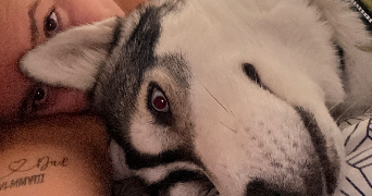 laurine pet sitter à COURNON D AUVERGNE 63800_2