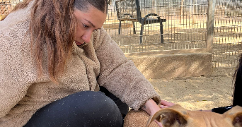 nour pet sitter à VALLABREGUES 30300_2