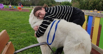 madison pet sitter à Bourges 18000_2