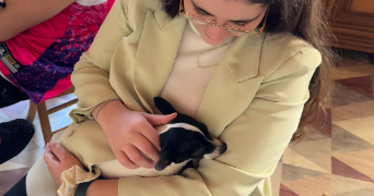 maeva pet sitter à MONTPELLIER 34070_3