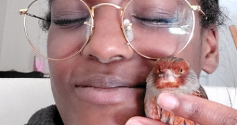 fina pet sitter à DRAGUIGNAN 83300_4