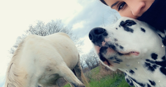 mélanie pet sitter à VAUX 03190_2