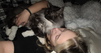 florence pet sitter à LA CHAPELLE BOUEXIC 35330_0