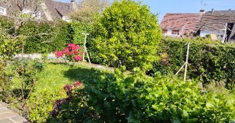 jean baptiste pet sitter à AVRANCHES 50300_7