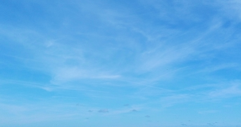 vanessa pet sitter à NOISY LE GRAND 93160_0