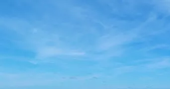 vanessa pet sitter à NOISY LE GRAND 93160