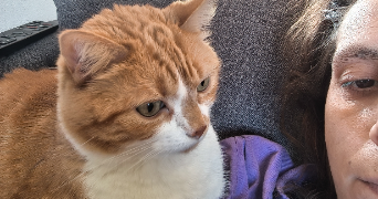 jessica pet sitter à POUILLY SOUS CHARLIEU 42720_0