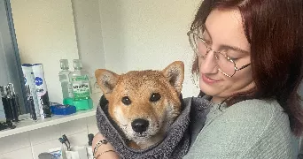 lola pet sitter à VESOUL 70000