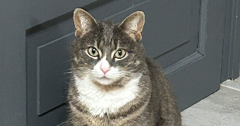 laetitia  pet sitter à MURIANETTE 38420_1