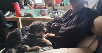 mélissa pet sitter à BAYONNE 64100_1