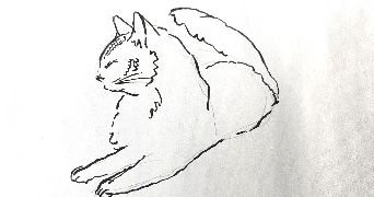 chloe cat sitter à PARIS 14 75014_0