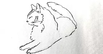 chloe cat sitter à PARIS 14 75014