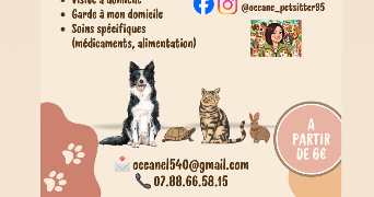 océane pet sitter à PUISEUX EN FRANCE 95380_7