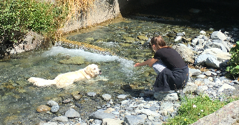 sarah pet sitter à ST HERBLAIN 44800_0