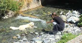 sarah pet sitter à ST HERBLAIN 44800