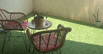 delphy pet sitter à ST JEAN DE VEDAS 34430_2