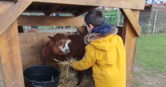 marie-cecile pet sitter à PARIS 15 75015_3