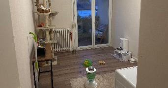 manuel pet sitter à BELLEU 02200_1