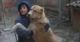 gabriel pet sitter à STRASBOURG 67000_0