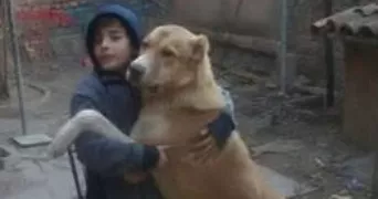 gabriel pet sitter à STRASBOURG 67000