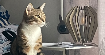 melanie pet sitter à ASNIERES SUR OISE 95270_2