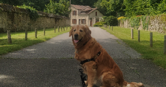 maeva pet sitter à LES ESSARTS LE ROI 78690_3