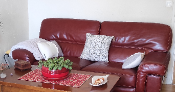 yvelise pet sitter à CASTRES 81100_1