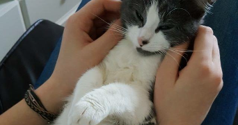 olivia pet sitter à BRISSAC LOIRE AUBANCE 49320_1