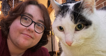 charlie cat sitter à LILLE 59260_1