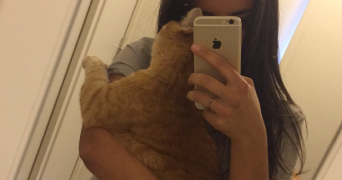 morgane pet sitter à ST ANDRE LE PUY 42210_3
