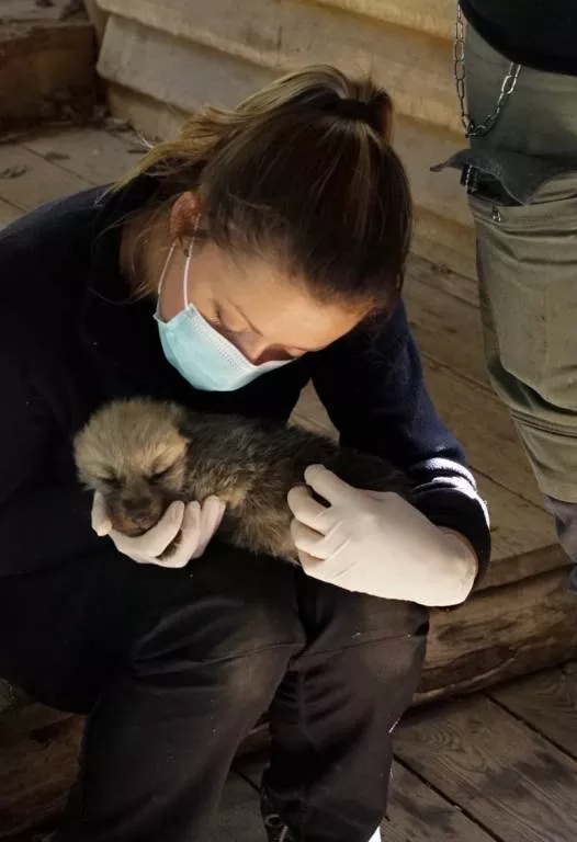 manon pet sitter à Ondres 40440