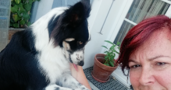 aurore pet sitter à ROUBAIX 59100_3