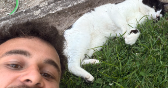 louis cat sitter à BORDEAUX 33800_1