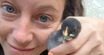 camille pet sitter à GAP 05000