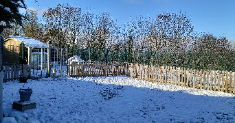 maud dog sitter à LABALME 01450_3