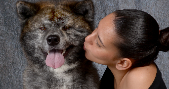 kassandra pet sitter à BALLANCOURT SUR ESSONNE 91610_0