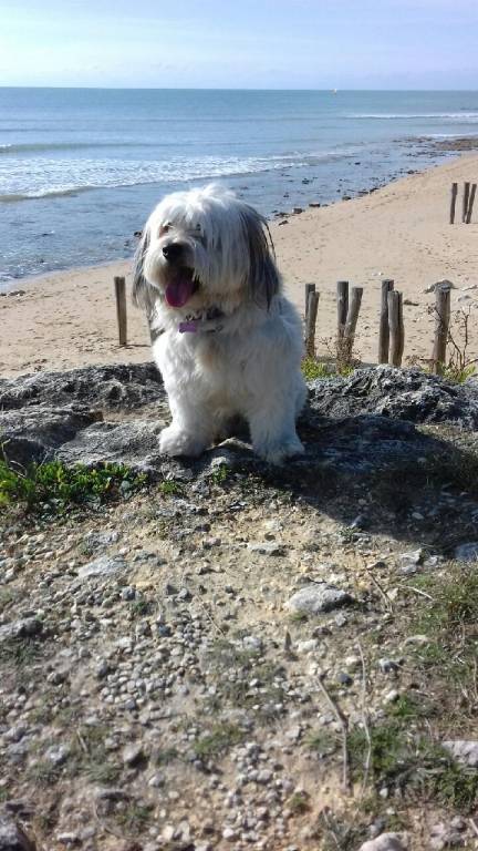 emma  pet sitter à Bordeaux 33440_5