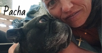 valérie pet sitter à Le Thor 84250_56