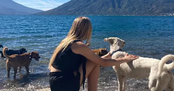 chloe pet sitter à LYON 06 69006