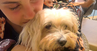 lilia pet sitter à VINCENNES 94300_0