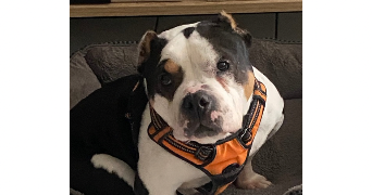 marie pet sitter à PONTAULT COMBAULT 77340_17