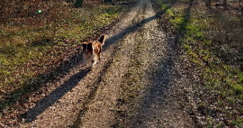 vinciane pet sitter à Armentières 59280_1