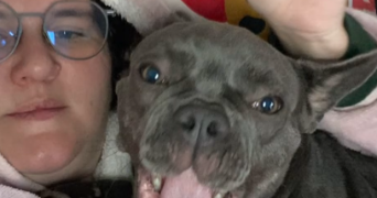 marie pet sitter à CARRIERES SUR SEINE 78420_6