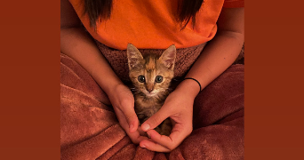 maléna pet sitter à CAEN 14000_3