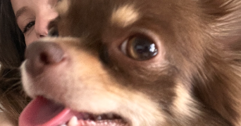 lucie pet sitter à PARIS 09 75009_4