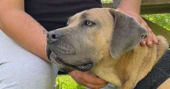 zoé pet sitter à CANDE 49440_2