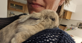 sophie pet sitter à CAUMONT SUR DURANCE 84510_1