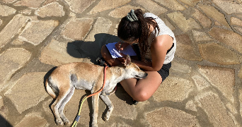 marion pet sitter à TRANGE 72650_6