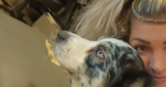 angélique  pet sitter à BOYNES 45300_0