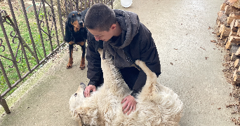 chloé pet sitter à PARIS 15 75015_11